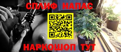 spice Балахна